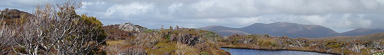 Stewart Island