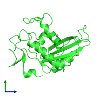 <span class="mw-page-title-main">GLIPR1</span> Protein-coding gene in humans