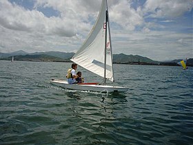 Sunfish makalesinin açıklayıcı görüntüsü