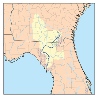 <span class="mw-page-title-main">Suwannee River</span> 396km (246mi) river in Florida and Georgia, USA