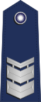 Taiwan-airforce-OR-7.svg
