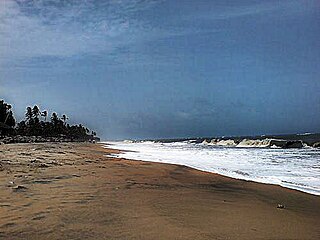 Tanur beach, Malappuram (8).jpg