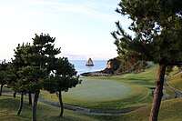 小名浜オーシャンゴルフクラブのグリーン越しに見た照島ウ生息地。2023年10月25日撮影。