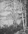 The Inlet, Spitfire Lake, 1903