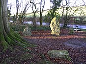 Las nueve piedras de Winterbourne Abbas - geograph.org.uk - 25044.jpg