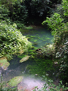 Timavo river in Italy