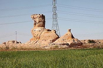 Camel rocks