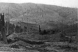 Toorongo Plateau- 1942. The forests were burnt in 1926 and then again in 1932 and 1939 and were devoid of eucalypt regeneration. A reforestation program began in the 1940s. Source: Frank Smith. FCRPA* collection. Toorongo Plateau - Photo Taken by Frank Smith 1942.jpg