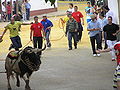 Toro ensogado de Beas de Segura (Fiestas en honor a San Marcos