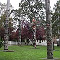 Several totem poles in Thunderbird Park