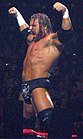Triple H, catcheur de l'année 2008