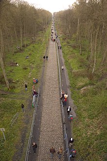 Trouee dArenberg - Paris-Roubaix 2008.jpg