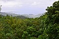 Unnamed Road, Grenada - panoramio (7).jpg