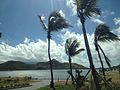 Unnamed Road, Saint Kitts and Nevis - panoramio.jpg