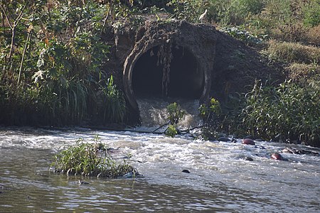 Untreated sewage water discharged in Mutha river near S.M. Joshi bridge, Pune