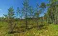 Valdai Nationaal Park asv2018-08 img03 Roschino.jpg