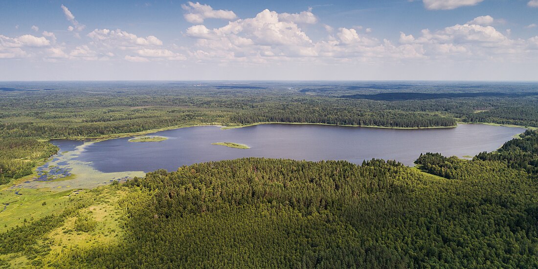 File:Valdai National Park asv2018-08 img14 Lake Sitno.jpg