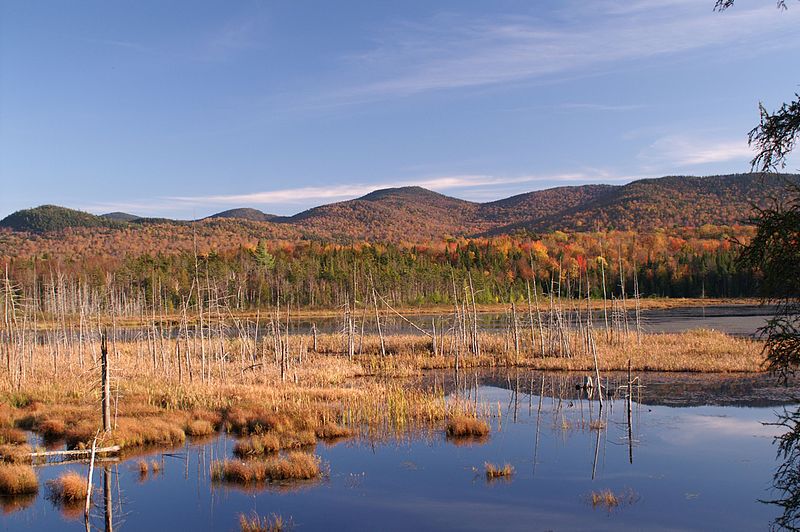 File:View from a Rest Area off of NY Route 28N - panoramio.jpg