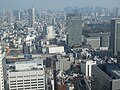 View from the Tokyo Metropolitan Government Buildings