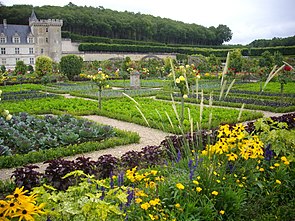 The Renaissance-style vegetable garden at Chateau de Villandry, France, displays rows of cabbage, carrots, and leeks among colorful flowers to create a productive and ornamental landscape. Villandry - chateau, potager (03).jpg