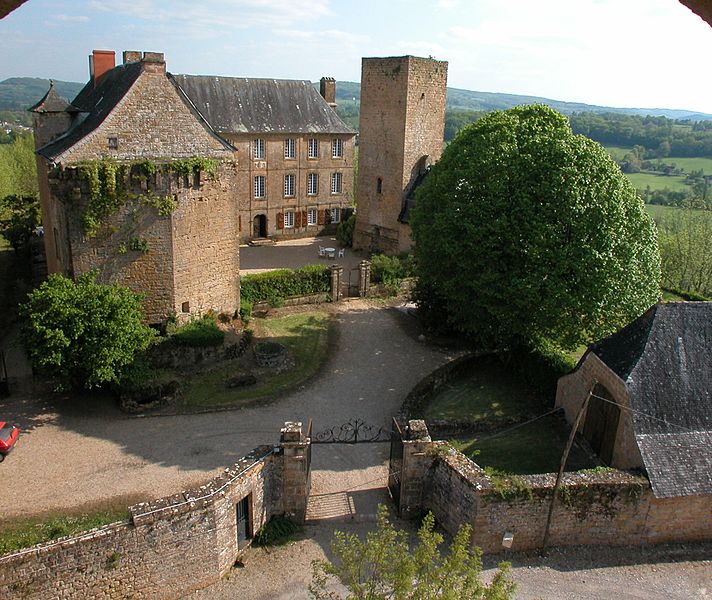 File:Vue générale du chateau de cavagnac.jpg