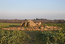 Illustrativt billede af Kerhenry Dolmen-artiklen