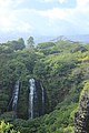 Wailua Homesteads, HI 96746, USA - panoramio (6).jpg