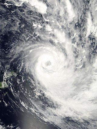 <span class="mw-page-title-main">Cyclone Waka</span> Category 4 South Pacific cyclone in 2001 and 2002