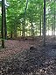 Wald zwischen Sagerhof und Wunderberg