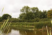 Lynde Shores Conservation Area