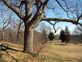 <span class="mw-page-title-main">Beaver Brook Reservation</span>