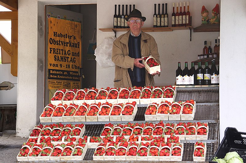 File:Wiesen im Burgenland - Erdbeerverkauf.jpg