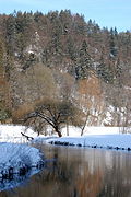 Regnitz Wiesent: Namensherkunft, Geographie, Freizeit und Erholung