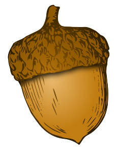 File:WikiVoc-acorn-1.svg