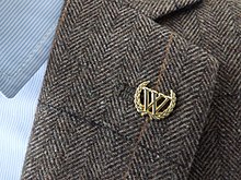 Wiki Laureate Lapel Pins of Wiki Award 2020 on Vsenauka Summit 03.jpg