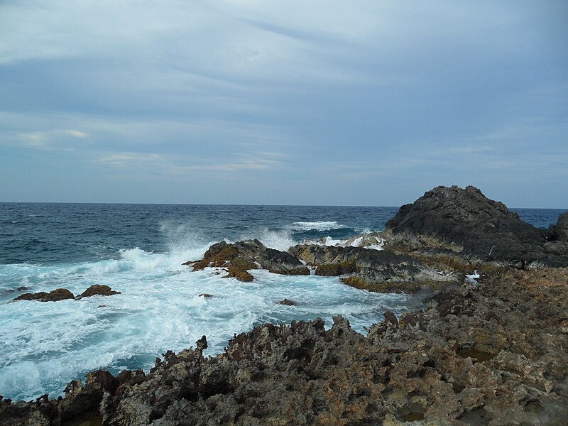 File:Wild Rugged Rocky Cliff Shores with Crashing waves Andicuri Bay Partially Emerged Holocene Coral Reef Windward Northeastern Coast Santa Cruz Aruba.jpg