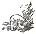 Pooh and a honey ("hunny") pot. E. H. Shepard illustration from Winnie-the-Pooh (1926).