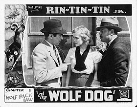 Lobby card for Chapter 5 Wolf Dog lobby card.jpg