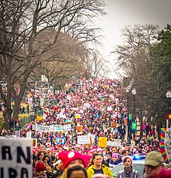 Women's March Washington, DC USA 33.jpg