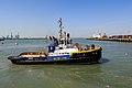 * Nomination Belgian tugboat Smit Lion in the port of Zeebrugge (Belgium) --Cccefalon 04:26, 6 August 2014 (UTC) * Promotion Good quality.--Famberhorst 04:52, 6 August 2014 (UTC)