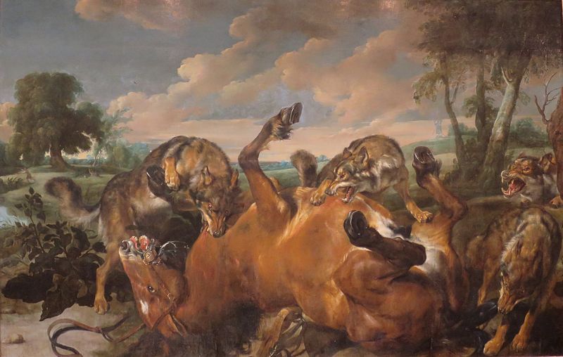 File:'Wolves Attacking a Horse' by Pauwel de Vos and Jan Wildens, 1630s, The Hermitage.JPG