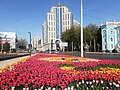 Весна в Душанбе, 2022 03.jpg