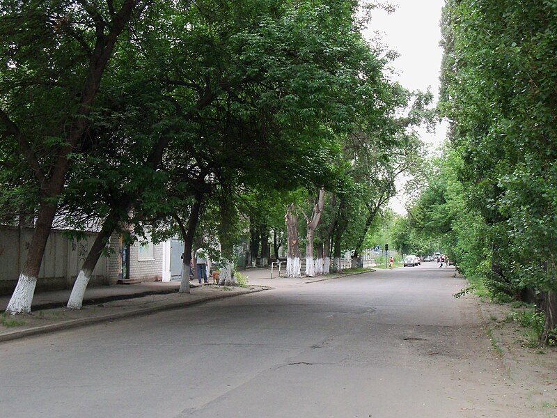 File:Вул. Цюрупи (Кременчук) (8.05.12).jpg