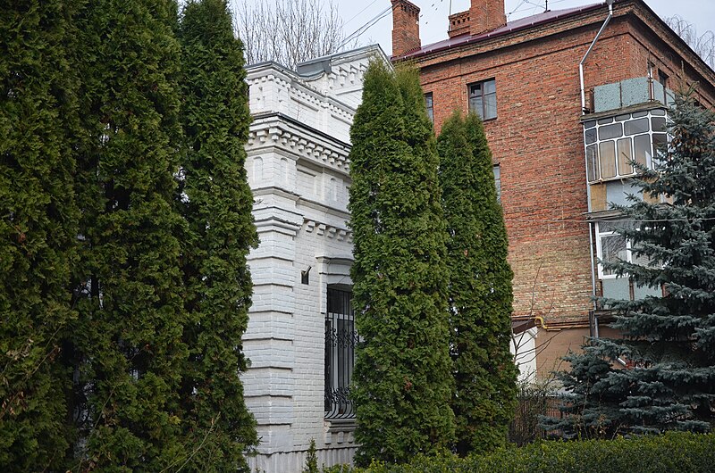 File:Дом по улице Пилипчука, 65 в Хмельницком. Фото 4.jpg