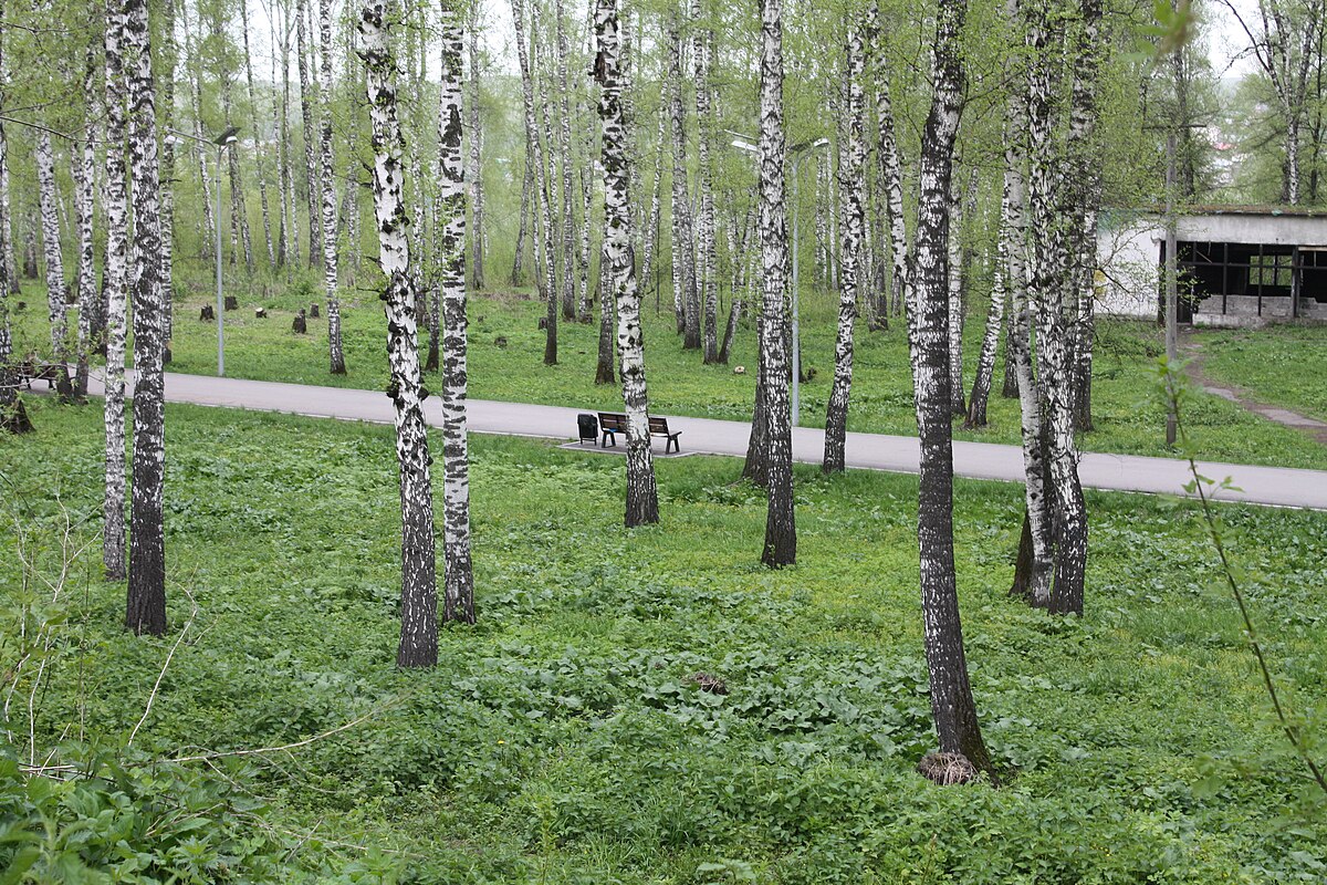 Презентация дзержинский район новосибирск