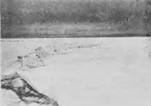 11. Гряда торосовъ, образующаяся при столкновеніи ледяныхъ полей.