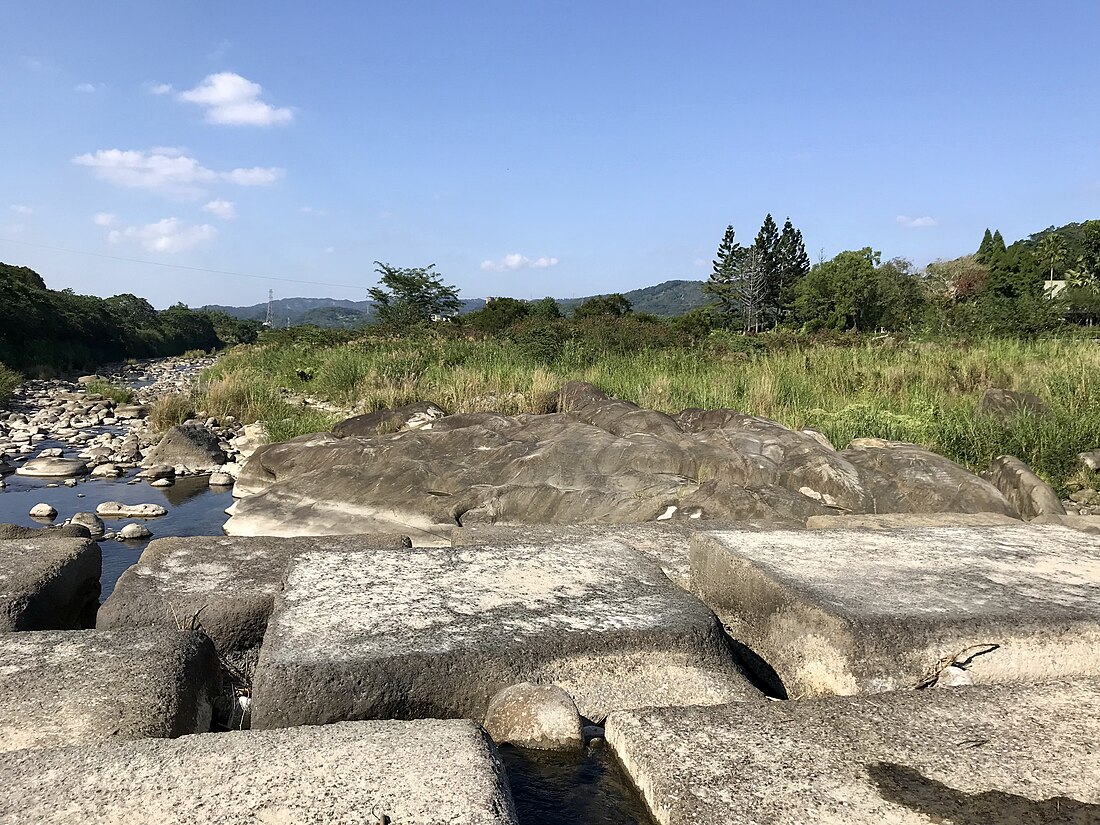 橫山石蟾蜍