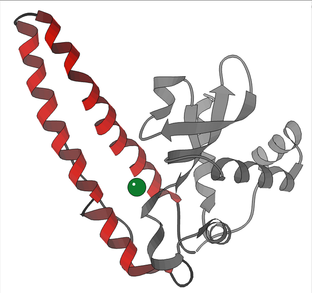 File:1n0j H mit MnSOD D1 rib.png