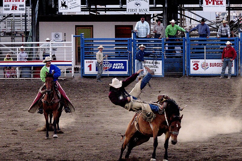 File:2006-07-28 - United States - Wyoming - Cody - Rodeo - Cowboy.jpg