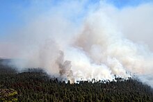 Rök stiger upp från Tinder-elden och brinner i Coconino National Forest